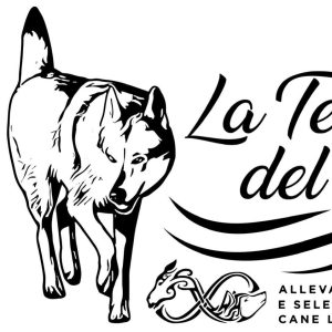 la terra del vento logo